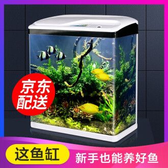 松寶魚缸怎么樣：松寶魚缸與其他品牌的比較，松寶魚缸維護保養指南 松寶魚缸怎么樣：松寶魚缸與其他品牌的比較，松寶魚缸維護保養指南 魚缸百科 第2張