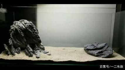 魚缸石頭選擇標準：如何選擇魚缸石頭