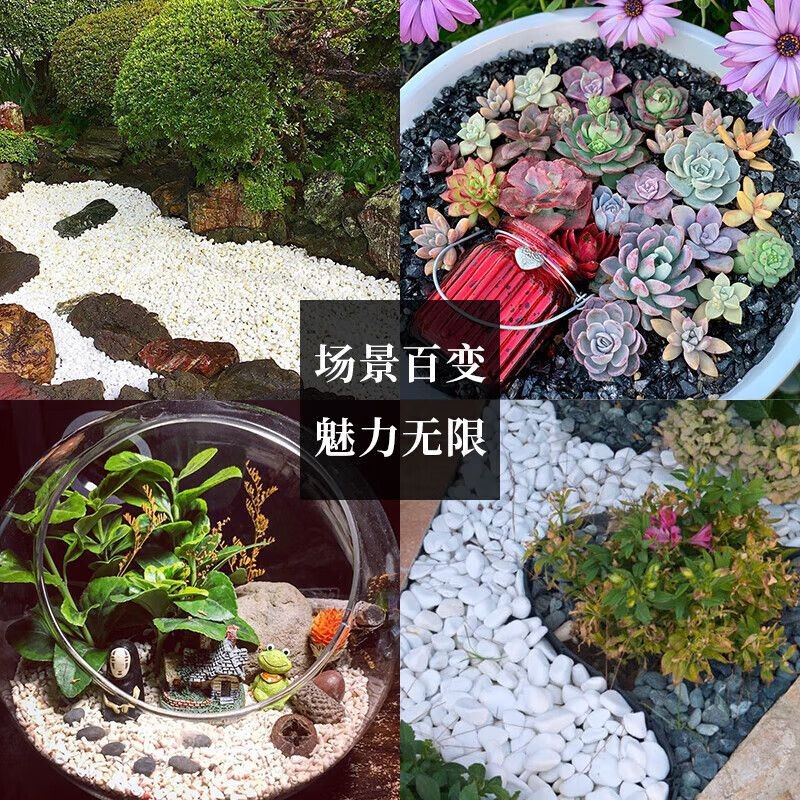 樂佳魚缸顯示屏：樂佳顯示屏用戶評價匯總樂佳顯示屏用戶評價匯總