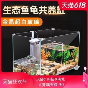 金晶至純超白玻璃魚缸：金晶至純超白玻璃魚缸品牌推薦