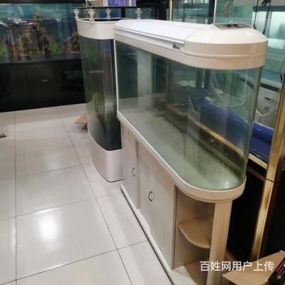 魚缸能用幾年買二手還是新的（二手魚缸能用幾年）