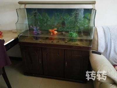 魚缸能用幾年買二手還是新的（二手魚缸能用幾年）
