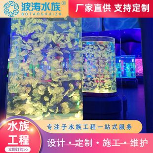 水母魚缸圖片：水母魚缸圖片大全