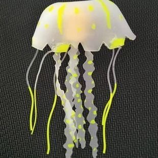 水母魚缸圖片：水母魚缸圖片大全