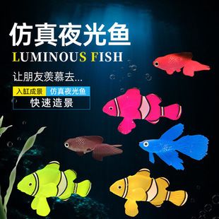 水母魚缸圖片：水母魚缸圖片大全
