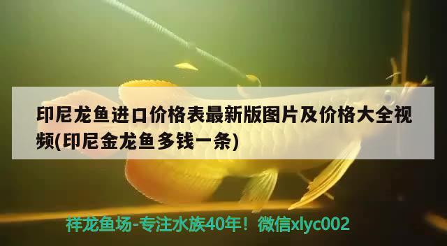萊山區(qū)仁壽觀賞魚養(yǎng)殖場（萊山區(qū)仁壽觀賞魚養(yǎng)殖場地址）