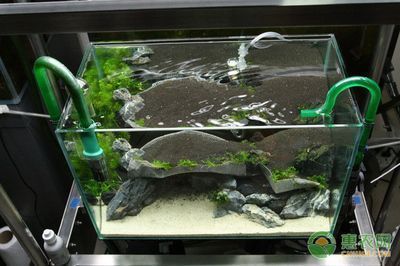 如何調(diào)節(jié)魚缸水溫至適宜范圍：調(diào)節(jié)魚缸水溫至適宜范圍是確保水生動物健康生長和維持關(guān)鍵
