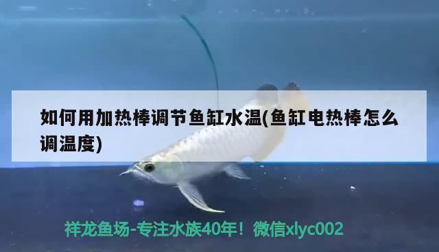 如何調節魚缸水溫至適宜范圍：調節魚缸水溫至適宜范圍是確保水生動物健康生長和維持關鍵