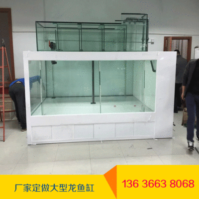 多大的缸適合養龍魚：養龍魚的魚缸尺寸需要根據龍魚的種類和成年后預計體長決定