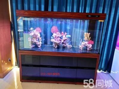 可麗愛魚缸官網(wǎng)專賣店電話號碼（可麗愛魚缸售后電話）