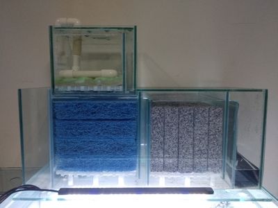底過濾魚缸水加多少（底過濾魚缸加水的多少取決于多個因素）