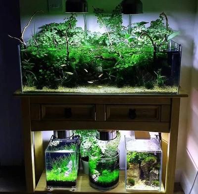 生態(tài)魚缸過濾器怎么安裝（生態(tài)魚缸過濾器安裝步驟）