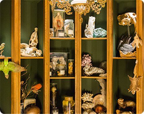 崔磊的《鎮(zhèn)守相安》有何特色？ 崔磊的《鎮(zhèn)守相安》有何特色？ 龍魚百科 第6張