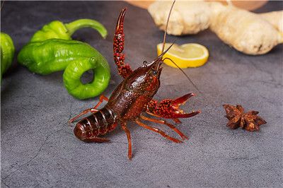 好魚缸多少錢一斤啊（亞克力魚缸多少錢一斤亞克力魚缸多少錢一斤）