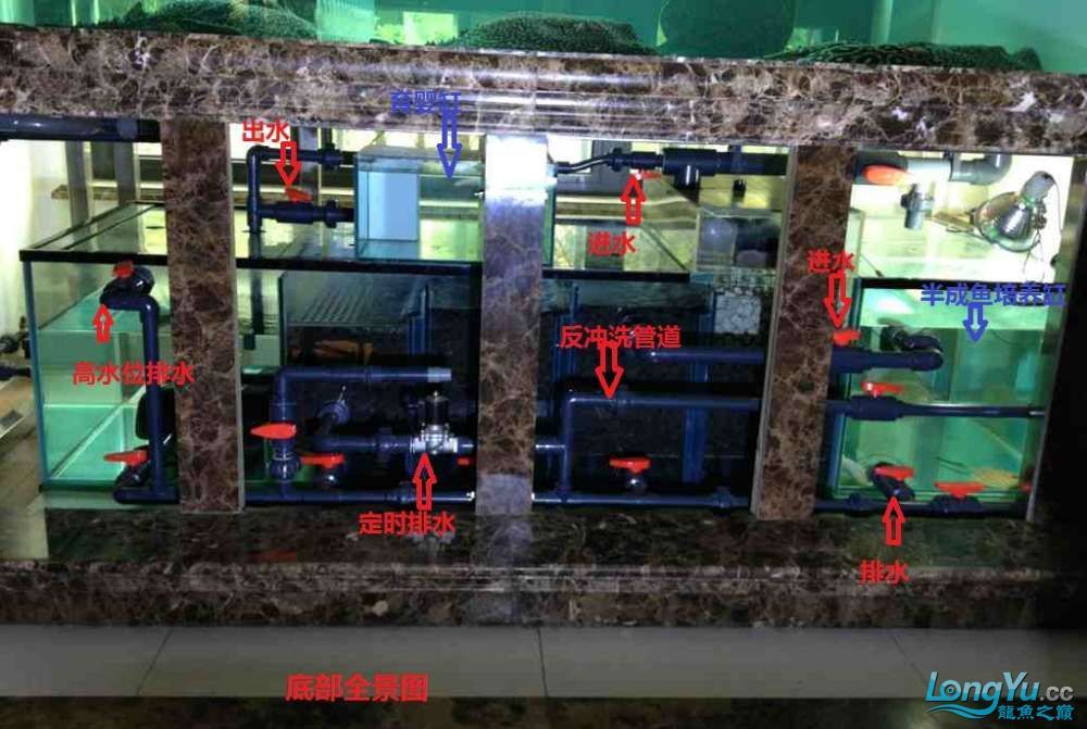 溢流式底濾魚缸可以通過在溢流區高度上給隔板玻璃開孔的方式調節水位：如何改造底濾魚缸水位 溢流式底濾魚缸可以通過在溢流區高度上給隔板玻璃開孔的方式調節水位：如何改造底濾魚缸水位 魚缸百科 第3張