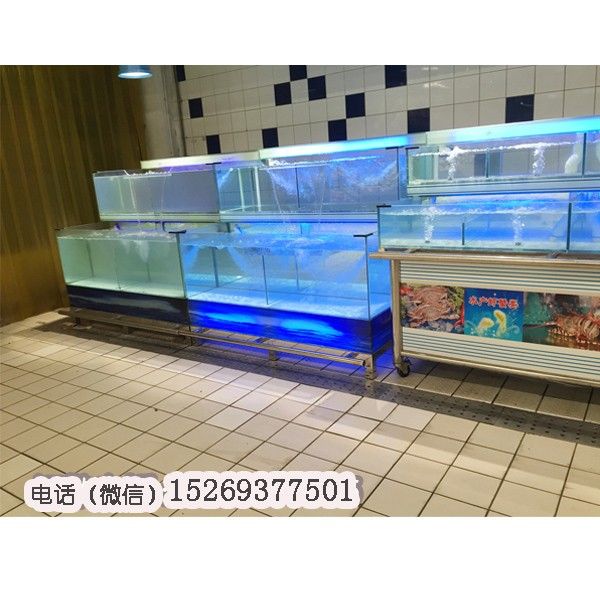 海鮮魚缸圖片大全圖（海鮮魚缸圖片大全）