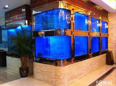 海鮮魚缸圖片大全圖（海鮮魚缸圖片大全）