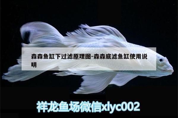 森森魚(yú)缸過(guò)濾桶原理圖