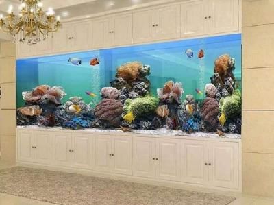 豪華魚缸視頻素材通常指的是展示豪華魚缸及其內部生物的視頻內容：如何獲取豪華魚缸視頻素材