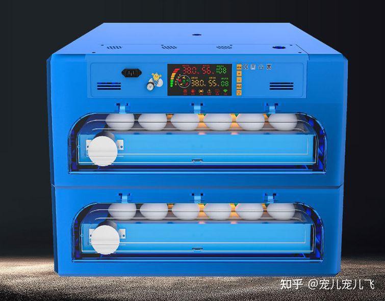 人工孵化金龍魚需要哪些設備？