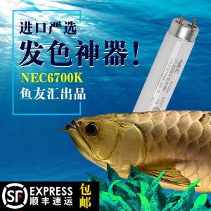 龍魚進口所需的手續：進口龍魚需要辦理進口登記、獲取進口許可證書、獲取進口許可證書