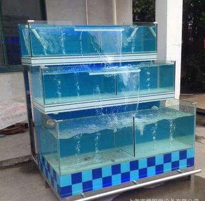 海鮮池魚缸制作視頻教學全集（海鮮池制作視頻教程）