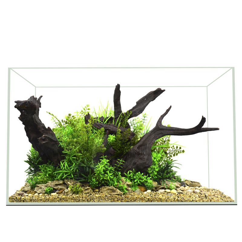 海灘魚缸造景的藝術演變