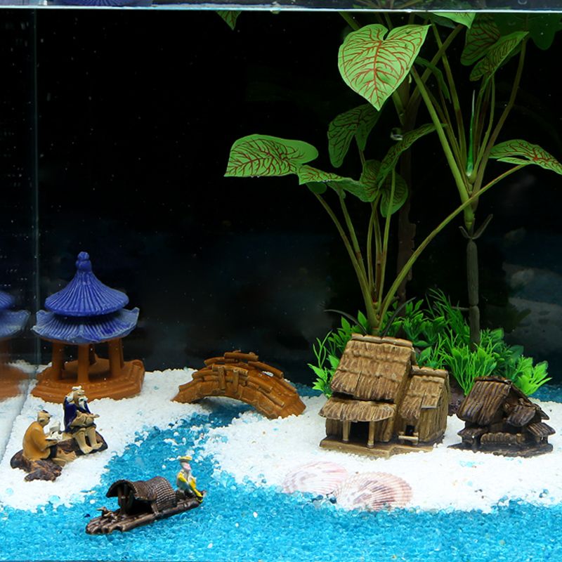 海灘魚缸造景的藝術演變