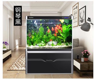 龍魚缸簡單造景怎么做：龍魚缸的簡易造景