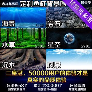 龍魚缸簡單造景怎么做：龍魚缸的簡易造景