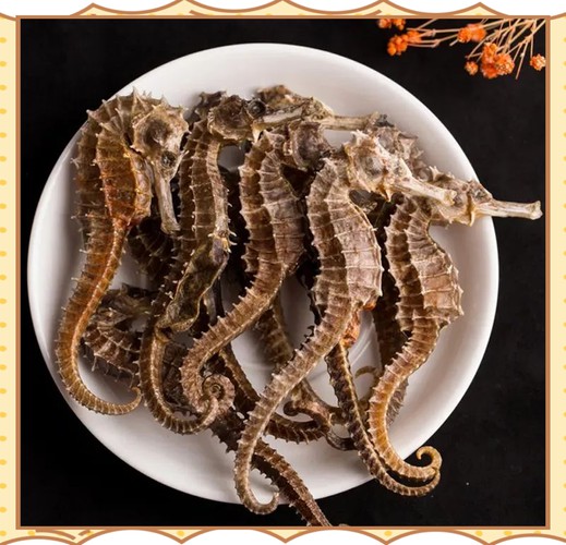 有沒有真假海龍和海馬的對比圖片？