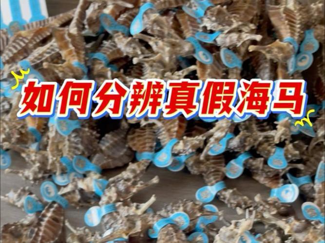 有沒有真假海龍和海馬的對比圖片？