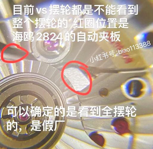 有沒有真假海龍和海馬的對比圖片？