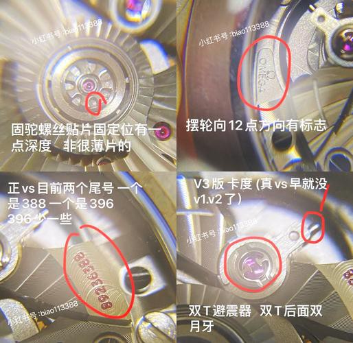 有沒有真假海龍和海馬的對比圖片？