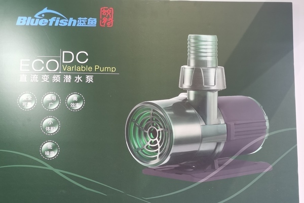 水鴨魚缸聲音大最怕三個東西