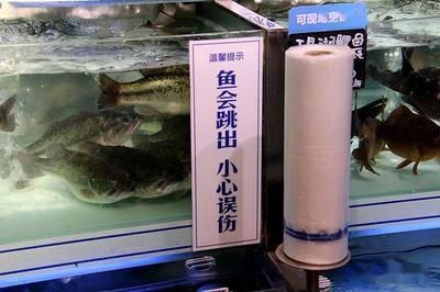 淮陽市海公主水族制品有限公司水族制品有限公司提供多款魚缸服務：南陽市海公主水族制品公司