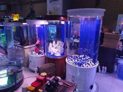 淮陽市海公主水族制品有限公司水族制品有限公司提供多款魚缸服務：南陽市海公主水族制品公司