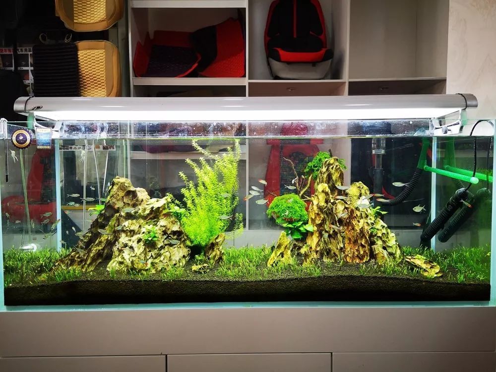 海水景觀魚缸設計的技巧：關于海水景觀魚缸設計的一些搜索結果 海水景觀魚缸設計的技巧：關于海水景觀魚缸設計的一些搜索結果 魚缸百科 第3張