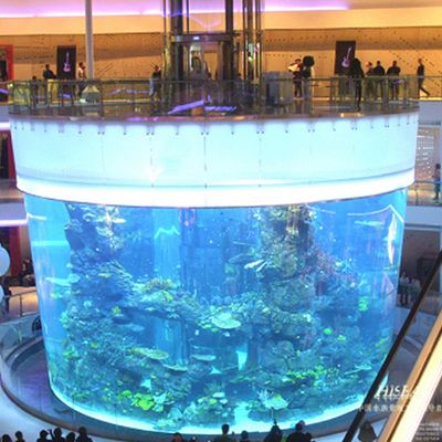 海水景觀魚缸設計的技巧：關于海水景觀魚缸設計的一些搜索結果 海水景觀魚缸設計的技巧：關于海水景觀魚缸設計的一些搜索結果 魚缸百科 第1張