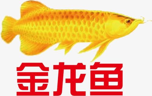 金龍魚 logo（金龍魚logo圖片素材免費下載金龍魚logo素材免費下載）