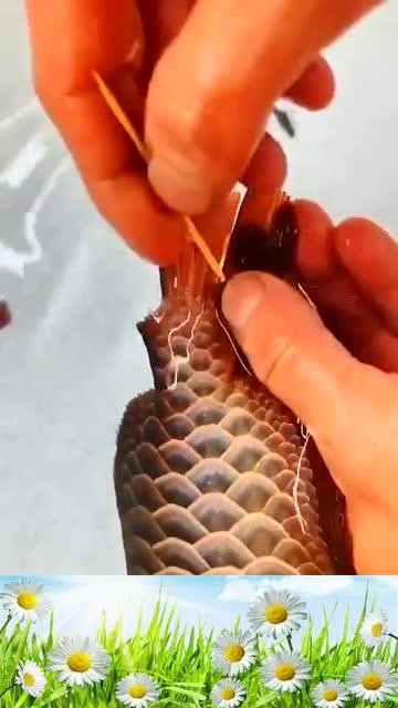 龍魚跳缸會死嗎圖片高清