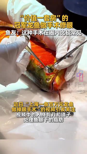 天津龍魚(yú)掉眼手術(shù)