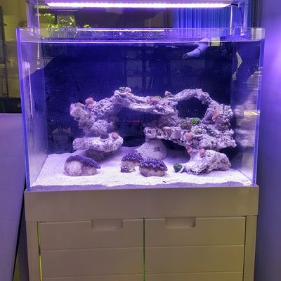 過濾器魚缸內(nèi)置（自制魚缸過濾器的優(yōu)缺點）