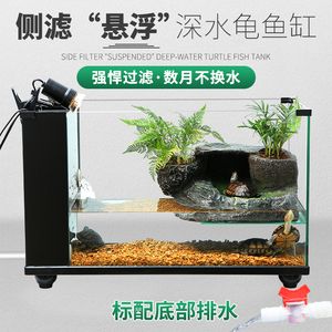 魚缸側濾和背濾哪個好：側濾和背濾各有優缺點 魚缸側濾和背濾哪個好：側濾和背濾各有優缺點 魚缸百科 第4張