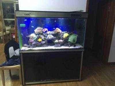 彩蝶魚缸官網專賣店在哪里(彩蝶魚缸官網專賣店在哪) 魚缸百科 第2張 彩蝶魚缸官網專賣店在哪里(彩蝶魚缸官網專賣店在哪) 彩蝶魚缸官網專賣店在哪里(彩蝶魚缸官網專賣店在哪) 魚缸百科 第2張