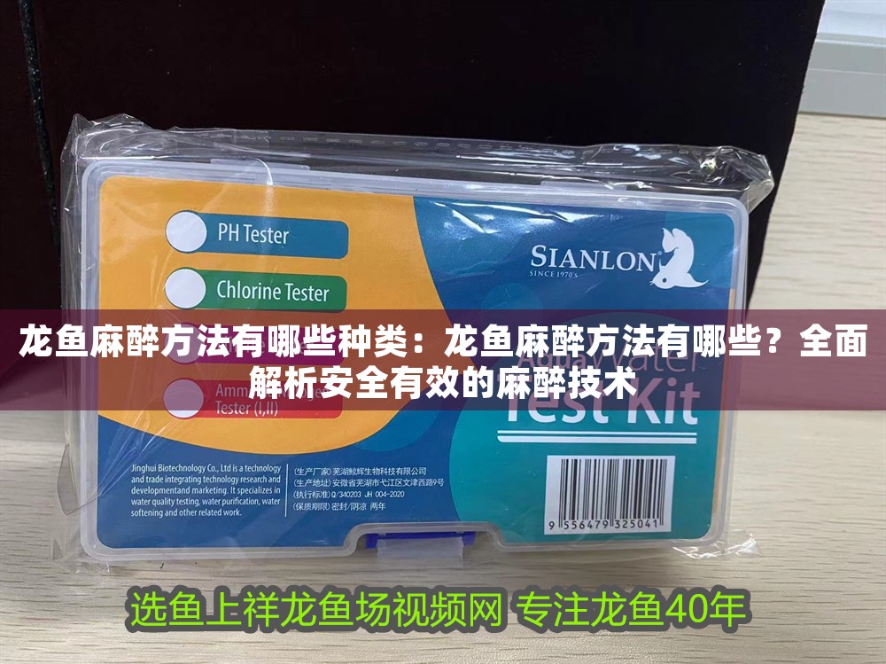 龍魚(yú)麻醉方法有哪些種類：龍魚(yú)麻醉方法有哪些？全面解析安全有效的麻醉技術(shù)