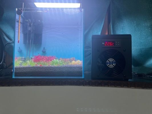魚缸降溫設備的節能選擇：魚缸降溫節能技巧分享, 魚缸降溫設備的節能選擇：魚缸降溫節能技巧分享, 魚缸百科 第3張