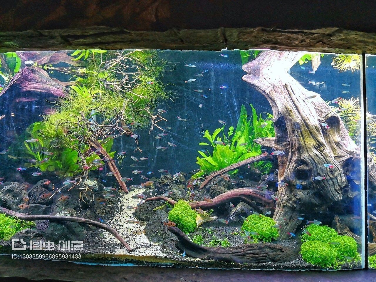 海底世界的藝術魅力海底世界魚缸造景魚缸設計圖：關于海底世界造景魚缸設計圖 海底世界的藝術魅力海底世界魚缸造景魚缸設計圖：關于海底世界造景魚缸設計圖 魚缸百科 第3張