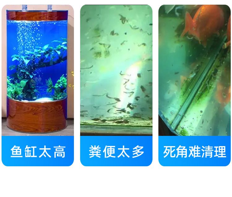 魚缸虹吸噪音大如何解決小妙招：魚缸虹吸噪音大怎么辦 魚缸虹吸噪音大如何解決小妙招：魚缸虹吸噪音大怎么辦 魚缸百科 第4張