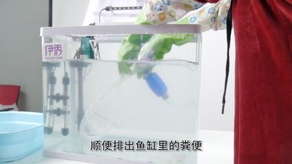 魚(yú)缸虹吸噪音大如何解決小妙招：魚(yú)缸虹吸噪音大怎么辦